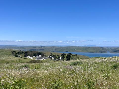 [Photo :  Point Reyes Laiterie dans une prairie]