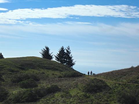[Photo : Randonneurs entre ciel et terre]