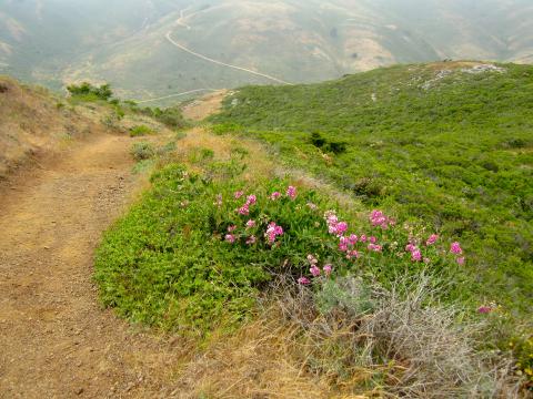 [Photo : chemin de randonnée au milieu des collines]