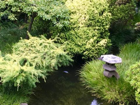 [Photo : jardin japonais ou Japanese Tea Garden à San Francisco]