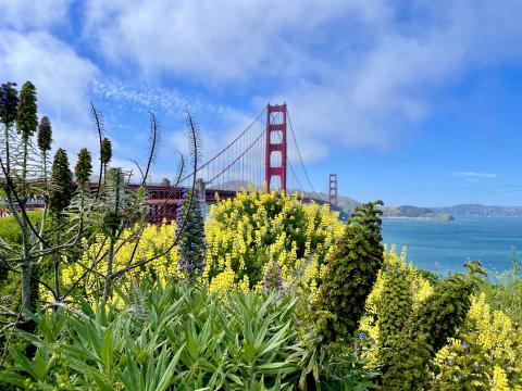 [Photo : San Francisco Golden Gate Bridge]