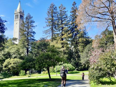 Canpus de Berkeley, Campanile