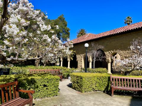 [Photo : printemps sur le campus de Stanford]