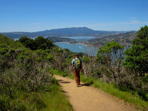 [Photo : chemin de randonnée sur Angel Island]