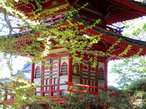 Pagode du jardin japonais Japanese Tea Garden